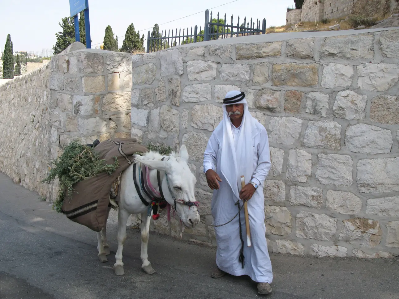 Izraelio gyventojas. Izraelis – atgaiva dvasiai ir kūnui