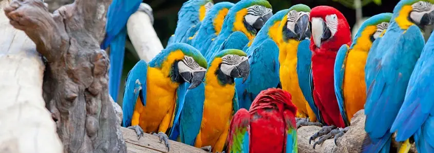 Kosta Rika. Nesižavėti tiesiog negalima!