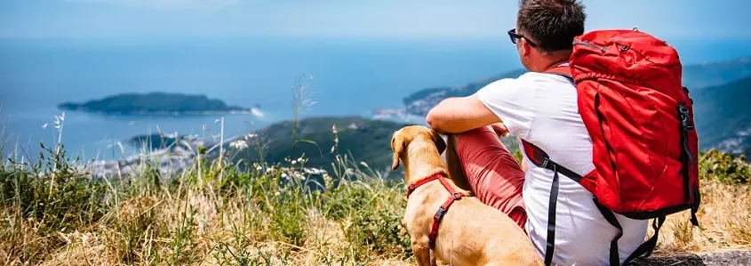 Planuojate ateityje keliauti su savo keturkoju draugu? Paskaitykite!