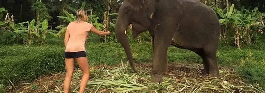 Nuo stingdančio šalčio – į šypsenų šalį ir keliautojų rojų Tailandą