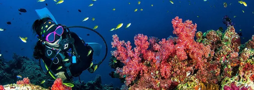 Nardymo instruktorius: viskas daug paprasčiau nei atrodo