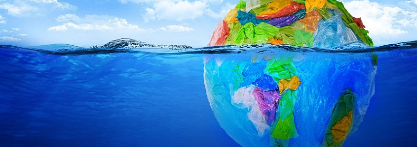 Tarptautinė diena be plastikinių maišelių