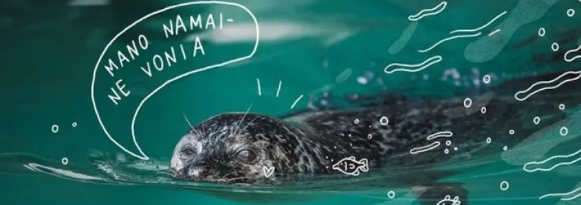 Padėkime Baltijos ruoniams grįžti į namus!